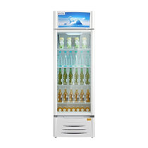 美的(Midea)SC-276GWMQ立式展示柜玻璃门单温冷藏冰柜 饮料柜 商用展示柜冷柜