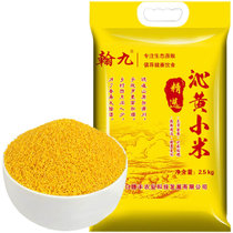 翰九沁黄小米 2.5kg 当年全新沁黄小米 色泽金黄 健康美味 米粥常备 口感黏糯