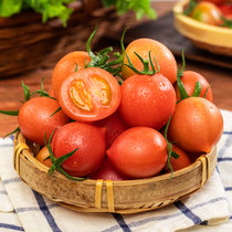 福建圣女果春桃小番茄小西红柿 孕妇水果 新鲜蔬菜 单盒450g左右(春桃柿子4盒装)