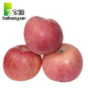 山东烟台栖霞红富士苹果 香脆可口 5斤装/新鲜水果