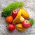 高仿真水果蔬菜 假水果模型 摄影道具 家居橱柜厨房茶几装饰品 苹果葡萄橙(青葡萄加9个水果)