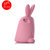 爱您纳（Aainina）苹果5/5S手机壳 可爱硅胶保护套立体兔子胖胖兔防摔壳(粉红色)