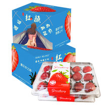 红颜九九草莓 奶油草莓 新鲜水果礼盒装 空运包邮 云南高原种植 现摘现发(4盒大果 15枚/盒  2.8斤左右)