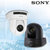 索尼（SONY）SRG-301H彩色视频摄像机  30倍光学变焦 16个预设值  全国包邮