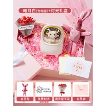 加湿器小型办公室桌面女生礼物车载车用迷你净化空气7ya(【皓月白-充电版】浪漫礼盒◎代G)
