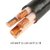 率龙电线电缆SL97国标电缆电线YJV3*300+2*150（单位：米）(默认)