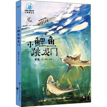 中国儿童文学大视野丛书•小鲤鱼跳龙门 全彩插图版