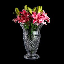 居家捷克原装进口BOHEMIA大号水晶玻璃花瓶简约插花摆件透明花瓶(默认)