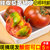 丹东草莓柿子5斤西红柿新鲜 自然熟铁皮柿子盘锦碱地生吃水果番茄(2个【试吃尝鲜 精选豪华】)第4张高清大图