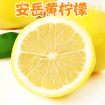 四川安岳柠檬新鲜水果包邮青柠皮薄一级精选汁多大香水黄柠檬(180-220g 500g)