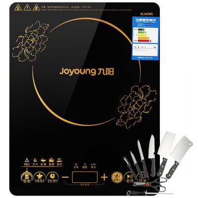 九阳（joyoung）JYC-21HEC05电磁炉