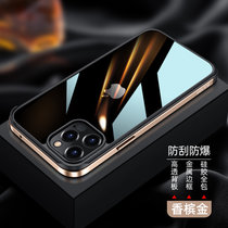 斑马龙 苹果12手机壳iPhone12pro金属边框透明背板12ProMax个性时尚防摔保护套(香槟金 苹果12Mini 5.4寸)