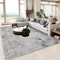 圣马可艾拉(EVRA)地毯Q099C北欧沙发茶几地垫卧室in s风床边毯 客厅欧式简约轻奢现 代防滑加厚 160*230cm