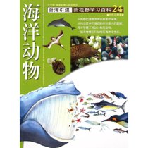【新华书店】24:海洋动物