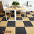 加密商用方块工程拼装地毯办公地毯办公楼写字商务楼桌球台球地毯(金牛座E6E9)