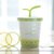 (国美自营)金禹瑞美（REMEC）骨瓷盆栽创意盖杯绿色
