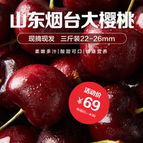 露地果预售5月20号顺丰发货：山东省烟台市原产地新鲜水果车厘子樱桃直径（22-26mm ）3斤装(红色 3斤装)