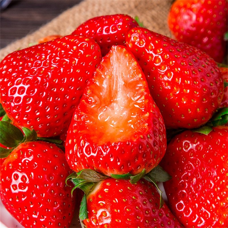 誉福园丹东草莓3斤大果单果2530g顺丰空运现摘现发