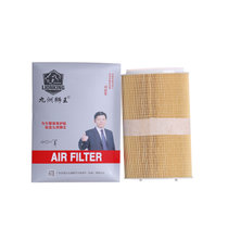 九洲狮王保时捷系列滤清器套装  空气滤+机油滤 两件套(保时捷跑车/996/997)