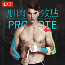 LAC专业肌内效贴布 运动胶布弹性运动绷带肌肉贴 肌贴胶带5CM宽*5M长均码黑 国美超市甄选