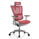 达宝利Ergonor人体工学电脑椅职员椅办公椅可调试坐椅(粉红色 裸椅)
