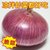 云南紫皮洋葱10斤农家自种蔬菜应季新鲜洋葱头圆葱整箱红皮小洋葱(5斤)第3张高清大图