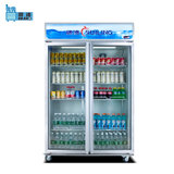 穗凌(SUILING) LG4-882M2F 立式双门冰柜 玻璃门展示冷柜 商用对开门饮料冷藏柜