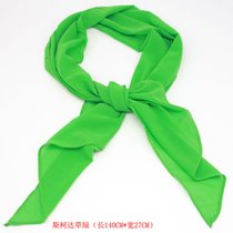 斯柯达4S店汽车 男士领带 女士丝巾(绿色丝巾)