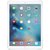 Apple iPad Pro平板电脑（12.9英寸/128G/银色/WiFi版）ML0Q2CH/A