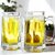(国美自营)利比Libbey 玻璃啤酒杯 条纹带把水杯（2支装） 355ml  5206