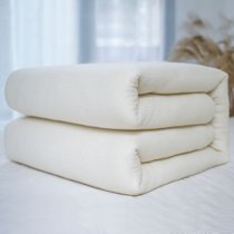 棉花被子棉絮床垫冬被学生宿舍单人加厚被芯被褥双人垫被春秋棉被(10斤)