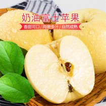 杞农优食黄金奶油富士苹果2.5kg礼盒装9粒精品果 自然成熟 香甜可口 肉嫩多汁