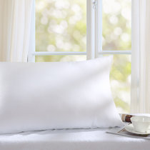 LOVO乐蜗家纺柔梦纤柔呵护对枕可水洗枕头芯2只装