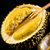 京觅马来西亚进口猫山王榴莲D197(带壳)单果1.6-1.9kg 冷冻水果