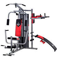 艾威GM6560单人站综合训练器材 大型力量 健身器材家用 多功能运动器材(银灰色 综合训练器)