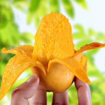 家族怀橙海南小台芒3斤装单果80-120g当季时令新鲜水果 入口滑润
