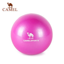CAMEL骆驼健身球 瑜伽灌沙球手球软式重力球 A7S3D7110(玫红 通用)