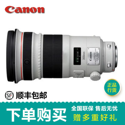 佳能（Canon） EF 300mm f/2.8L IS II USM 镜头(套餐一)