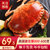 简鲜 面包蟹鲜活熟冻特大黄金蟹黄道蟹海鲜螃蟹珍宝蟹超大母蟹梭子蟹(600-800g/只 2只)