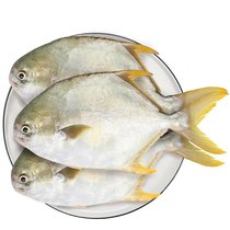 翔泰国产海南冷冻无公害金鲳鱼1.2kg 3-4条 袋装 深海大牧场 烧烤食材 BAP认证 生鲜 鱼类 海鲜水产