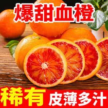 飓香园 塔罗科血橙5斤大果 单果70mm+ 富含花青素的水果 前期果血丝较少