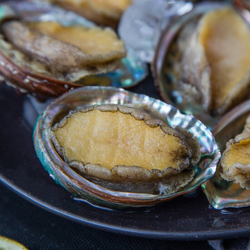 冷凍半殼鮑魚 去肚去齒淨殼 10頭 盒裝 燒烤食材 海鮮