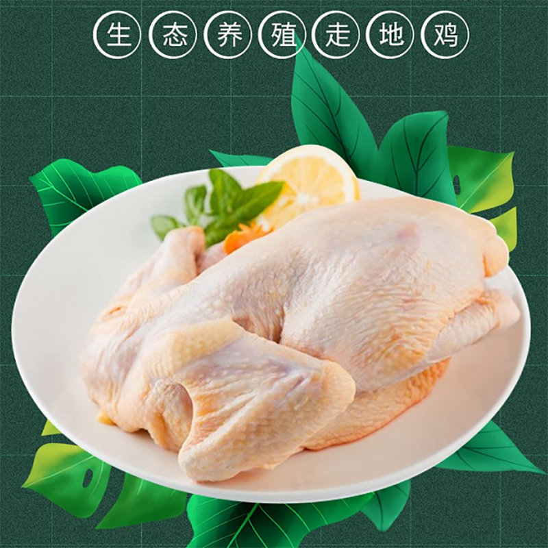凉亭鸡汇益丰山地农家放养168天以上整只新鲜月子鸡新鲜鸡肉冷冻运输