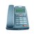 堡狮龙（bossini）HCD133（21）TSDL主叫号码显示电话机（铁灰色）（大屏幕、智能背光）