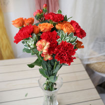 北京杭州居家鲜花 办公室鲜花 按月送花 玫瑰鲜花速递同城送包月鲜花(白色)