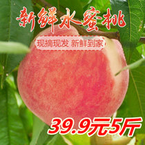新鲜桃子水果山东水蜜桃脆毛桃5斤桃子非黄桃油桃血桃现摘现发