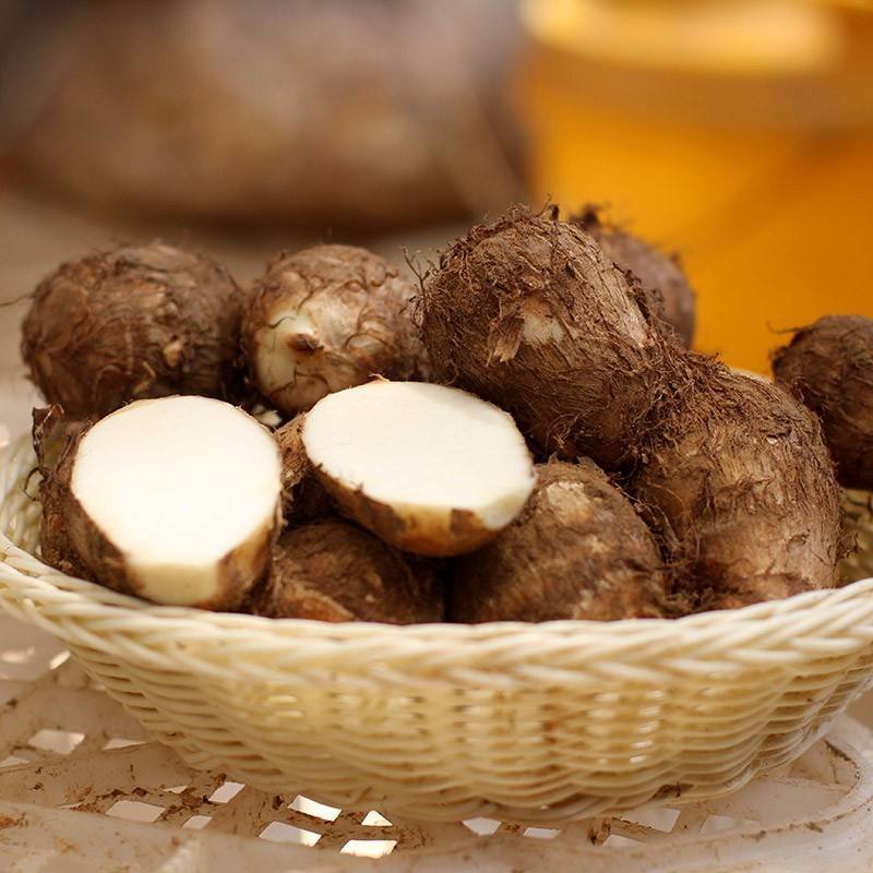 杞农云商山东寿光新鲜果蔬毛芋头b级小芋头5斤装5060个9斤装80100个带