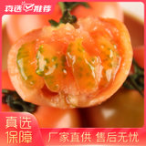 老味西红柿4.5斤 自然熟沙瓤多心柿(沙瓤多心西红柿)