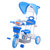 舒贝乐3107儿童三轮车带手推杆、遮阳棚、脚踏板、带音乐(蓝色)