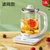 志高(CHIGO)养生壶多功能黑茶煮茶器加厚玻璃电热烧水壶花茶壶煎药壶ZG-X1832(绿色)
